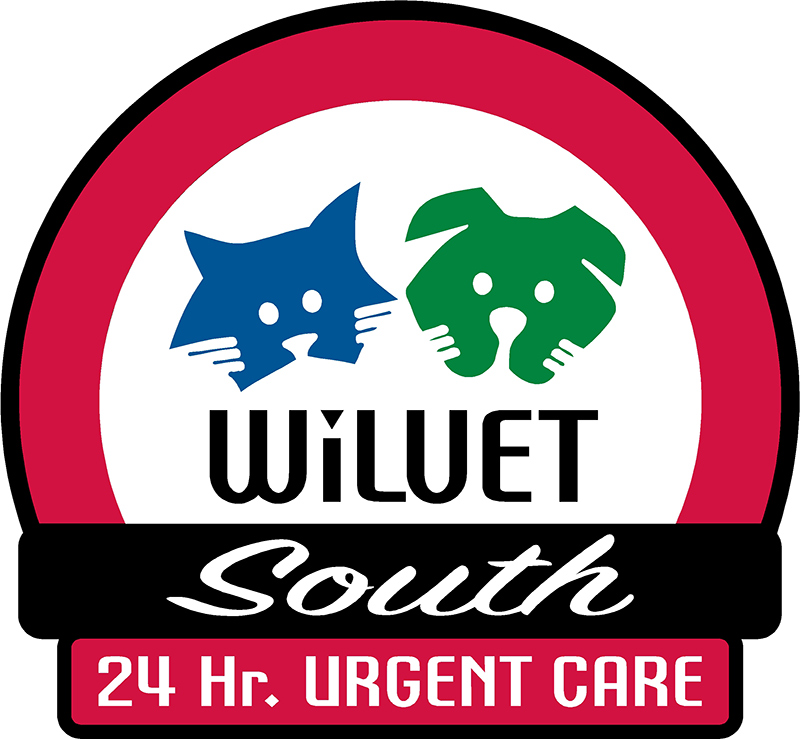Best ER Vet Hospital In Springfield, OR | Wilvet South