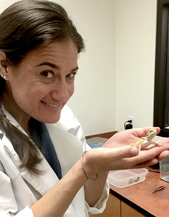 Dr. Aimee Reed Dr. Aimee Reed